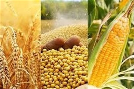 تولید محصولات کشور در بخش کشاورزی به ۱۲۵ میلیون تن رسیده است