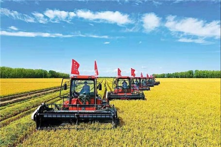 مسیر چین به سرمایه داری در صنعت کشاورزی چه بود؟