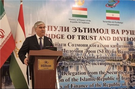 قصد همکاری گسترده‌ با بازار سرمایه ایران را داریم